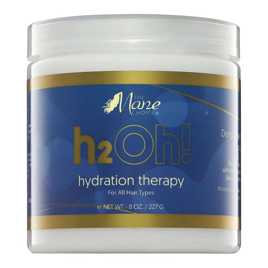 Mane Choice H2Oh Hydration Therapy Hair Masque THE MANE CHOICE